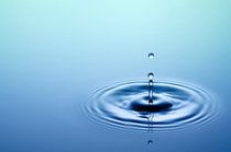 Alkaline Hydrolysis Alkaline Hydrolysis