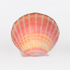 Biodegradable Cremation Urns